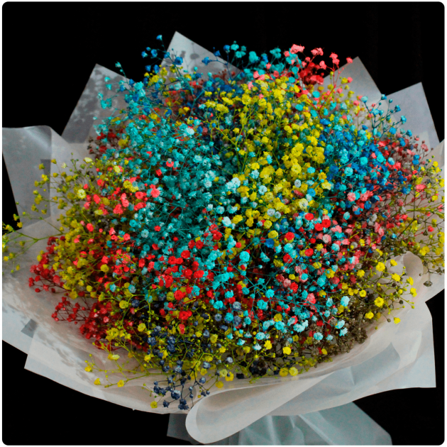 Bouquet deBaby Breath Multicolor 
