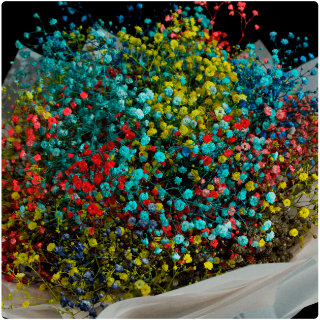 Bouquet deBaby Breath Multicolor  - Image 2