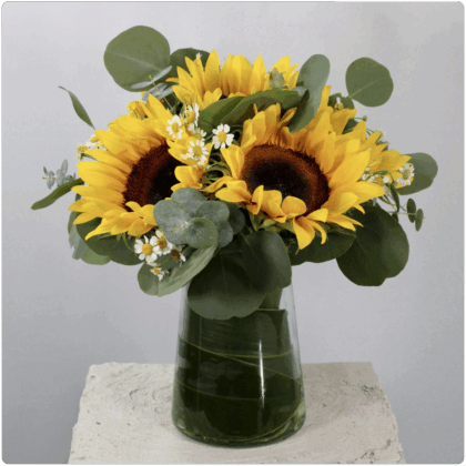 Arreglo de  girasoles + Santa María + follaje con base de cristal