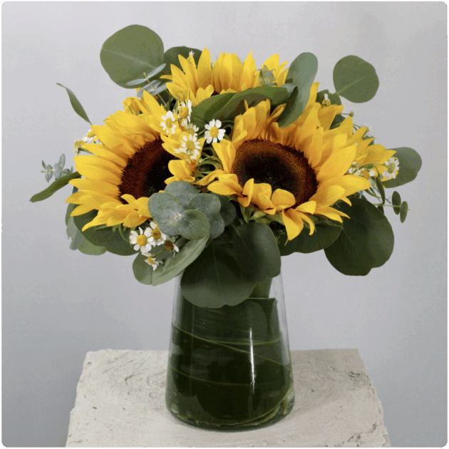 Arreglo de  girasoles + Santa María + follaje con base de cristal