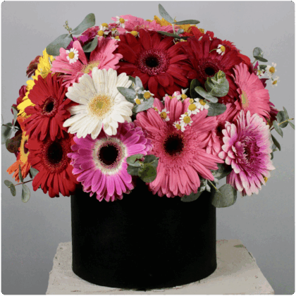 Arreglo floral de  Gerberas