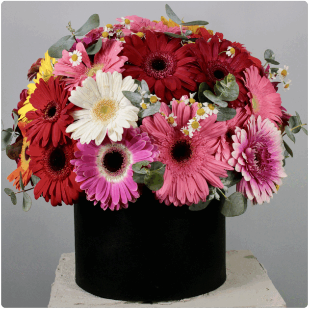 Arreglo floral de  Gerberas
