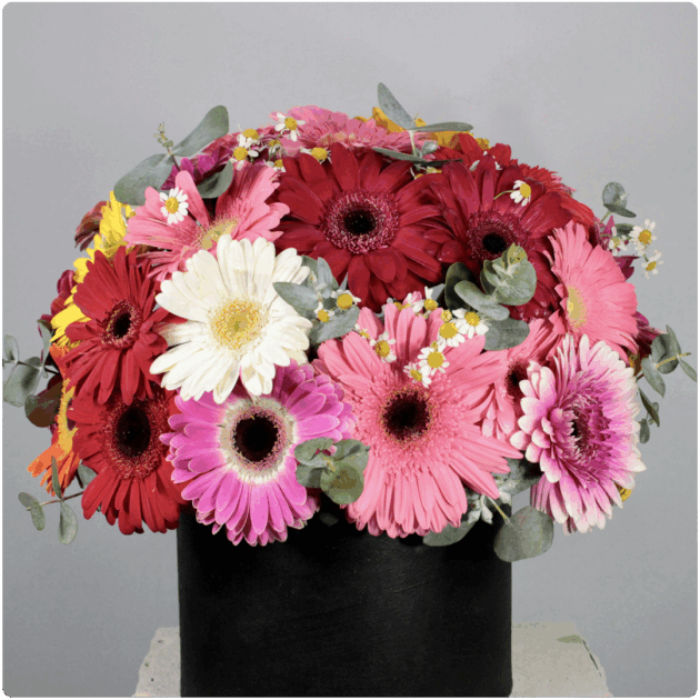 Arreglo floral de  Gerberas - Image 2
