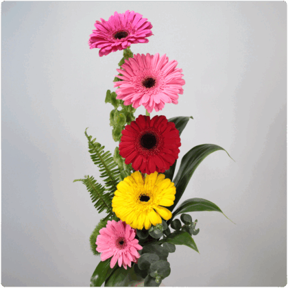 Arreglo floral de gerberas