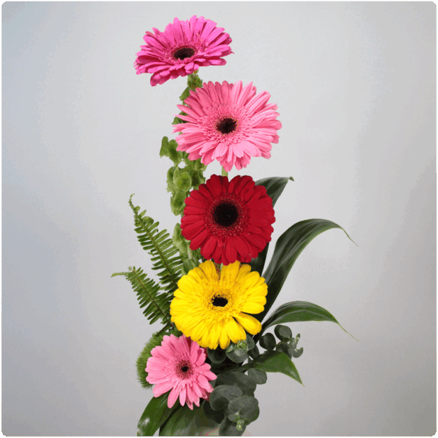 Arreglo floral de gerberas
