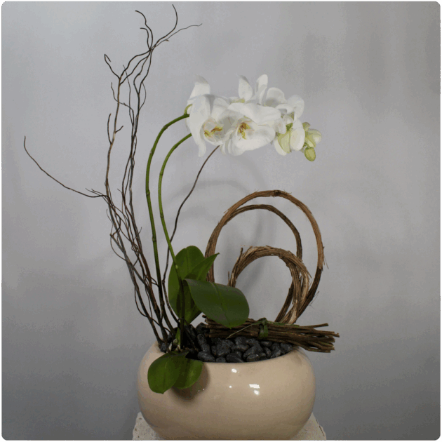 Planta de orqui_dea decorada con base de cer?mica  E